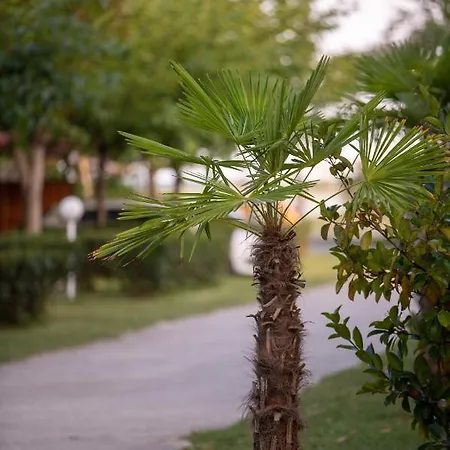 Stolos Роскошный шатер