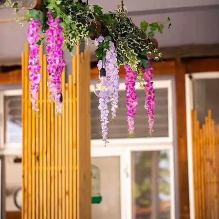 Роскошный шатер Stolos